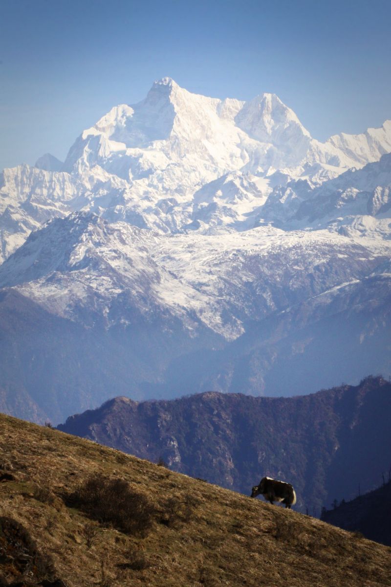 Hranice Indie, Sikkimu a Nepálu - Phalut, 2015