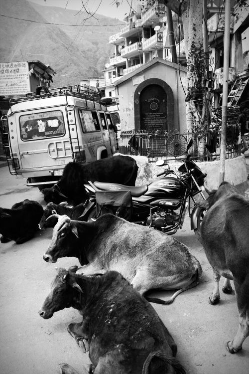 Indie - Uttaranchal - život na ulici