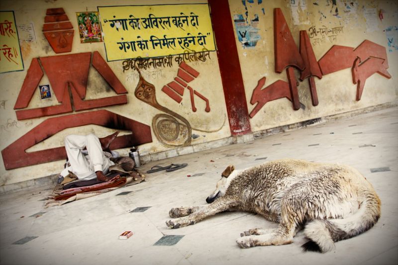 Indie - Uttarkashi - ložnice, obývák, 2012
