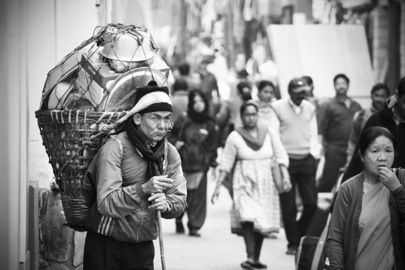 Indie - Darjeeling, 2015