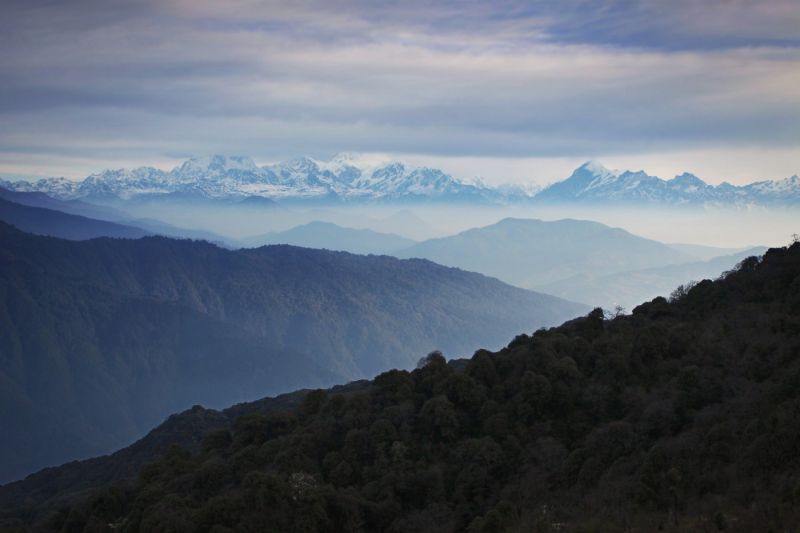 Indie - trek na Sandakphu, 2015